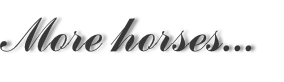 More horses...